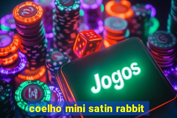 coelho mini satin rabbit